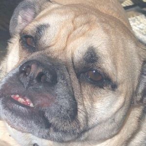 Meet your Posher, Grace